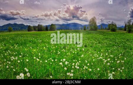 DE - BAVARIA: Hoffilze moorland scene near Bichl (HDR-Image) Stock Photo