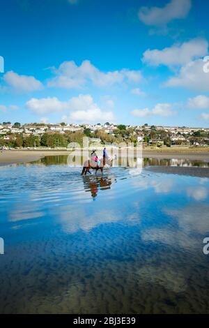 Pony trekking at low tide on the Gannel Estuary in Newquay in Cornwall. Stock Photo