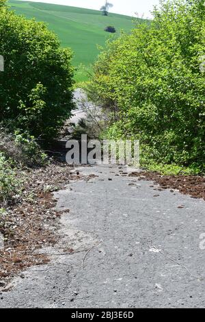 empty road in spring landscape, Eifel Stock Photo
