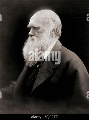 Charles Robert Darwin, 1809 – 1882.  English naturalist and writer.  After a portrait by English photographer Julia Margaret Cameron. Stock Photo