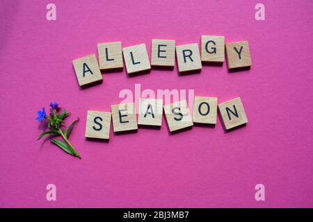 Allergy Season, words in wooden alphabet letters with flowers,  isolated on bright pink background Stock Photo