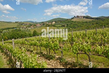 Looking across the vinyards towards the small commune of San Regolo and the Castello di Brolio, Tuscany, Italy Stock Photo