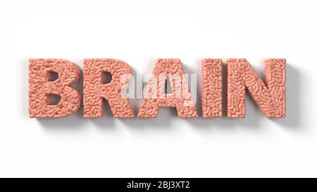 brain workd in made of human brain. suitable for brain, biology, medicine, science and font themes. 3D illustration Stock Photo