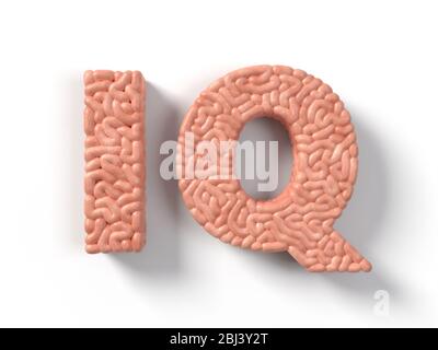 iq workd in made of human brain. suitable for brain, biology, medicine, science and font themes. 3D illustration Stock Photo