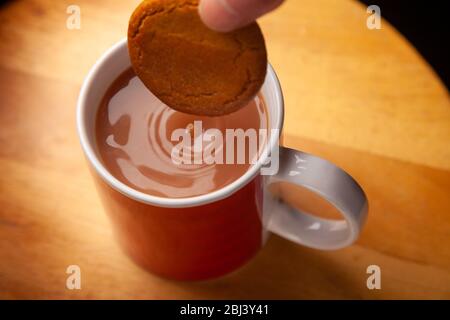 Dunking a ginger nut biscuit in a mug of tea Stock Photo