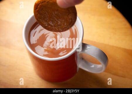 Dunking a ginger nut biscuit in a mug of tea Stock Photo