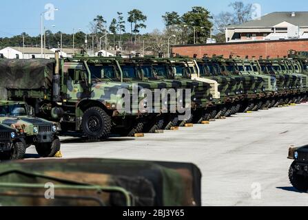 Military trucks at Marine Corps Base Camp Lejeune in North Carolina. Stock Photo