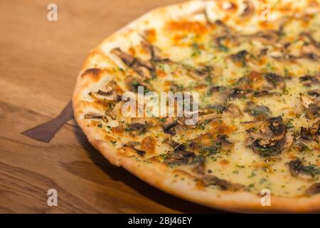 Pizza with mushrooms and cheese is sprinkled with dry Italian herbs Stock Photo