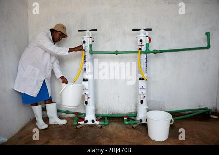 Miriam works on the water place in Mungetho, north of Naurobi and examines the water filter plant. Stock Photo