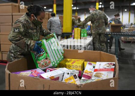 Washington National Guard soldiers sort items and prepare boxes of food for distribution to residents in response to COVID-19, coronavirus at the Food Lifeline Covid Response warehouse April 23, 2020 in Seattle, Washington. Stock Photo