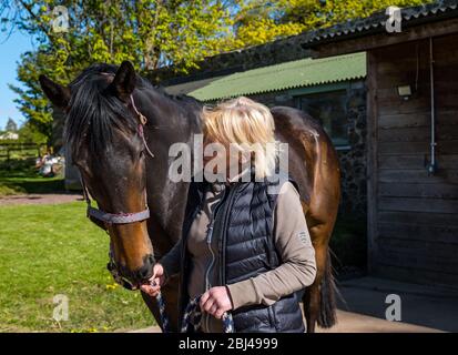 Camptoun, East Lothian, Scotland, United Kingdom. 28th Apr, 2020. A community in lockdown: residents in a small rural community show what life in lockdown is like for them. Pictured: Lorna and one of her three horses, Colin. Lorna goes into work at a local golf course a few days a week and works from home the rest of the time Stock Photo