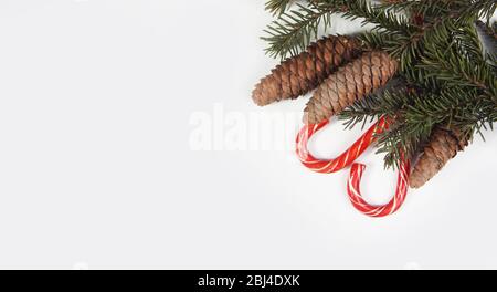 licorice stick and pinetree branches isolated on white background flat lay. Image contains copy space Stock Photo