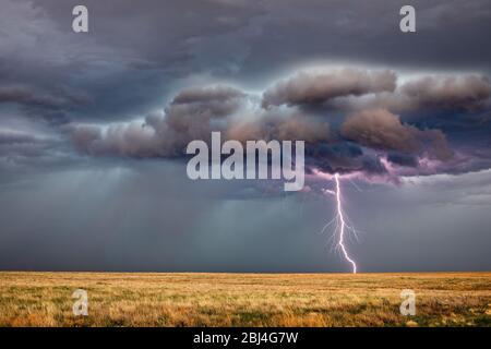A powerful lightning bolt strikes from a storm with dramatic clouds and dark sky over a field near Haswell, Colorado Stock Photo