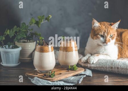 Cute red white cat relaxing on plaid. Two glasses of Iced Dalgona coffee. Trend korean drink latte espresso with coffee. Dark rustic style. Cozy home Stock Photo