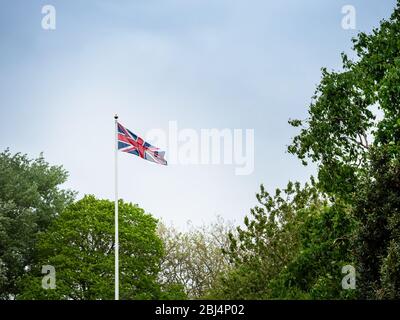Horizontal shot of Great Britain Union Jack flag flying on a flagpole with trees, blue sky and copy space. Stock Photo