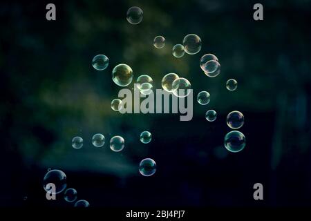 Soap bubbles on dark green background Stock Photo
