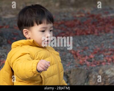 A Japanese toddler at the Tenryuji Temple garden Stock Photo