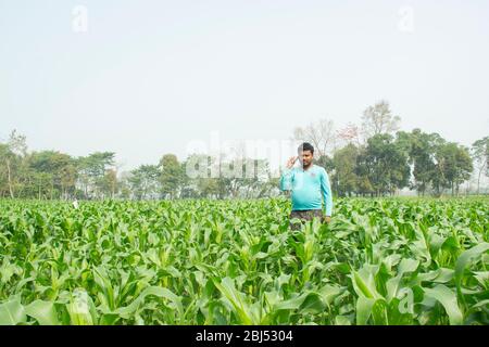 Indian Farmer talking on mobile phone In Agriculture Field Stock Photo