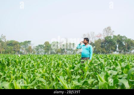 Indian Farmer talking on mobile phone In Agriculture Field Stock Photo