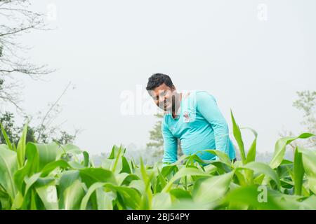 indian farmer working, Bihar, India Stock Photo