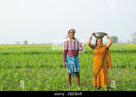 Indian farmer couple working in field Stock Photo