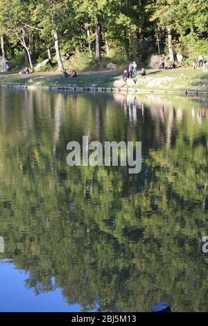 Trees perfectly reflected on placid blue water in a public park. Bagno di Romagna, Emilia Romagna, Italy Stock Photo