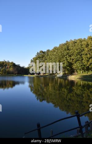 Trees perfectly reflected on placid blue water in a public park. Bagno di Romagna, Emilia Romagna, Italy Stock Photo