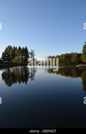 Trees perfectly reflected on placid blue water in a public park. Bagno di Romagna, Emilia Romagna, Italy Stock Photo