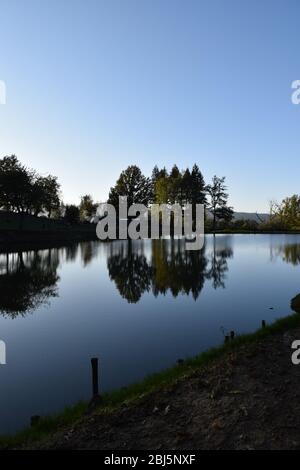 Trees perfectly reflected on placid blue water in a public park. Bagno di Romagna, Emilia Romagna, Italy Stock Photo