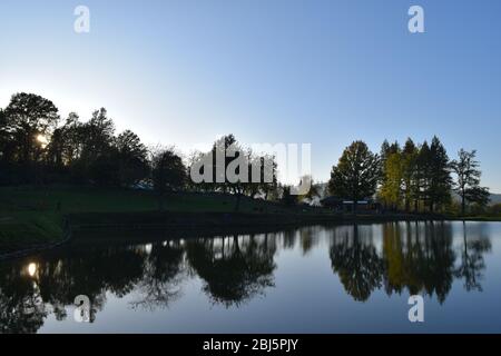 Trees perfectly reflected on placid blue water in a public park. Bagno di Romagna, Emilia Romagna, Italy Stock Photo