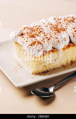 Tres Leches Cake (Milk Cake) - Baked by an Introvert