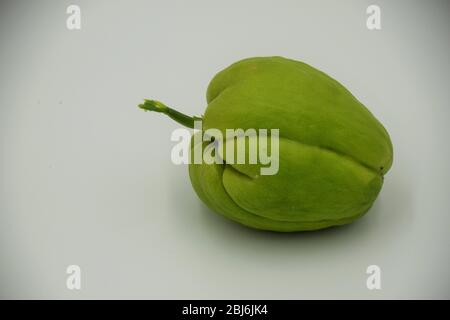 A sprouting chayote fruit bought in Oregon. Chayote is a tasty edible squash from Central and South America Stock Photo