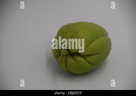 A sprouting chayote fruit bought in Oregon. Chayote is a tasty edible squash from Central and South America Stock Photo