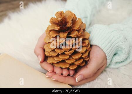 Woman holding pine cone, closeup Stock Photo