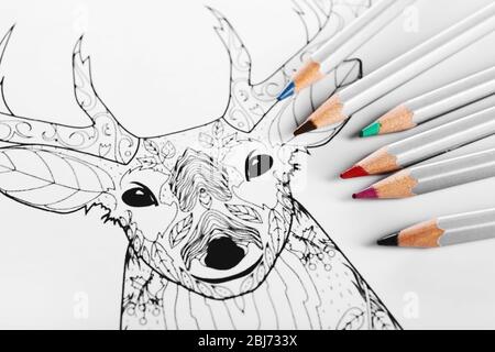 How to draw a Deer step by step with soft pastels ( 133 ) - video  Dailymotion