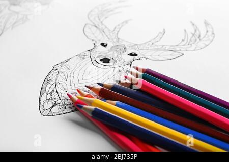 Buy Deer Art Print Pencil Drawing Young Roebuck Format 13 X 18 Cm Online in  India - Etsy