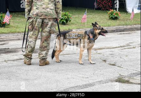 A soldier walks his military dog on a leash, both man and animal in uniform during an event Stock Photo