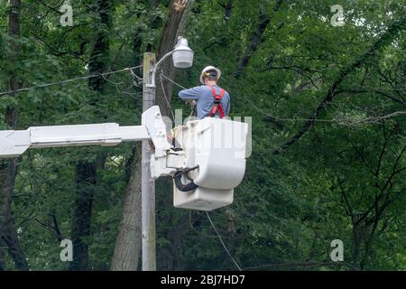 An electrical worker in a bucket truck fixes wires after a storm did damage by dropping a tree branch on the lines Stock Photo