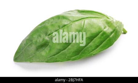 Fresh basis leaf isolated on white Stock Photo