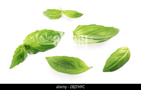 Fresh basis leaves isolated on white Stock Photo