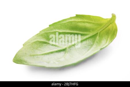 Fresh basis leaf isolated on white Stock Photo