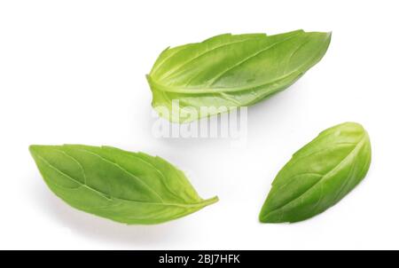 Fresh basis leaves isolated on white Stock Photo