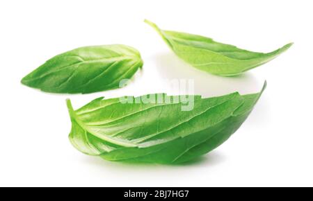 Fresh basis leaves isolated on white Stock Photo