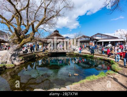 Tourists visiting Oshino Hakkai, Japan Stock Photo