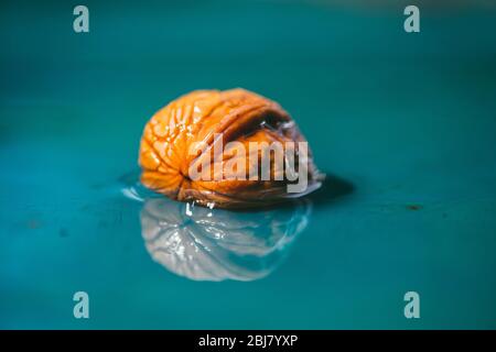 Wet walnuts in the shell lying in the water. Closeup. Selective focus Stock Photo