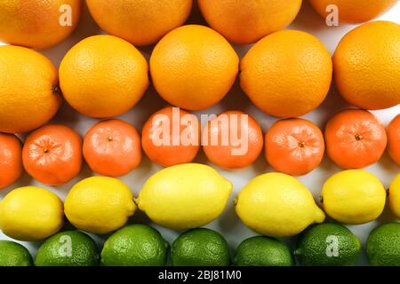 Colorful mixed citrus fruit  sorted and lined up in rows, close up Stock Photo