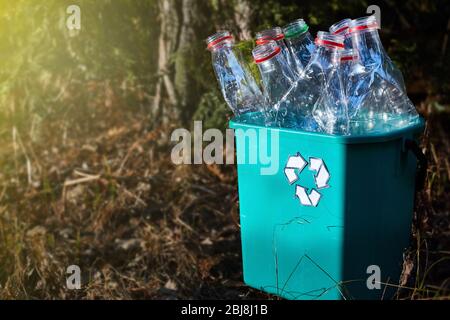 Zero waste. Empty plastic bottles in a box waiting for recycling. The concept of environmental consciousness. Copyspace. Stock Photo