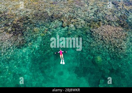 Snorkeling at House Reef of Lissenung, New Ireland, Papua New Guinea Stock Photo