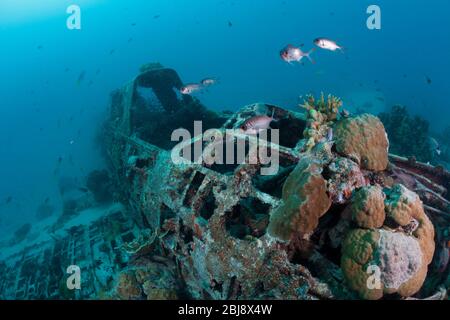 Japanese Kate Bomber Wreck Nakajima B5N, New Ireland, Papua New Guinea Stock Photo