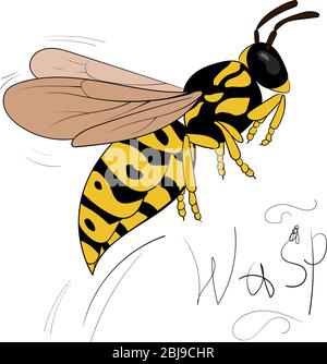 Cartoon yellow wasp flies. Insect illustration isolated on white background Stock Vector